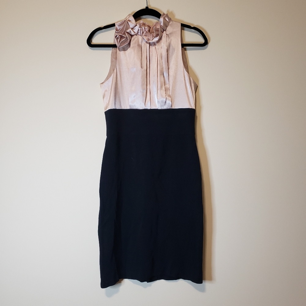 Maggy London Rose Dress